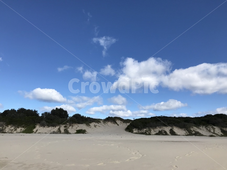 호주,australia,엘리자베스해변,elizabethbeach,pacificpalms,바닷가,겨울해변