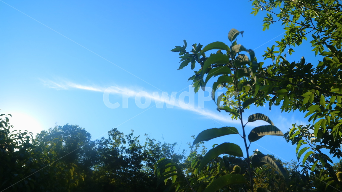 하늘,구름,파란하늘,sky,bluesky