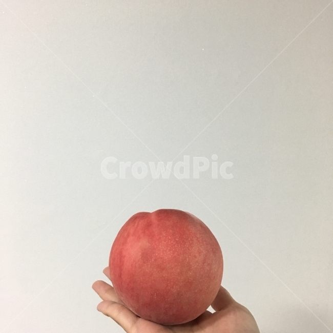 디저트,배경화면,감성사진,감성,사진감성,핸드폰배경,배경,플레이팅,누끼,맛있다,군것질,복숭아,과일,여름과일,여름,음식,식재료,요리,food,cook,meal,dishes,food reserves,과일,열매,fruit