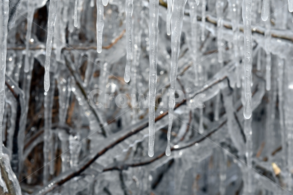 겨울,고드름,얼음,풍경,꽁꽁,수정고드름,추위,상고대,겨울,계절,winter,season