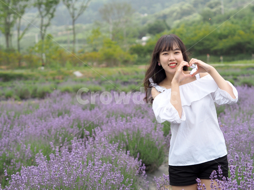소녀,여자,봄,봄처녀,라벤더,감성,꽃,꽃밭,사람,꽃놀이,식물,풍경,계절,인물,lady,female,woman,flower,lavender,광양,여성,여자,woman,female,lady