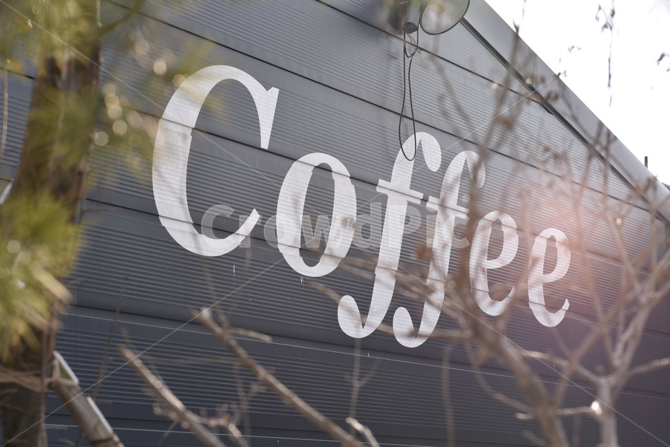 커피,카페,소나무,coffee,cafe,나뭇가지,아침,모닝커피,morning,caffeine,카페인,차,tea,브런치,brunch,morningcoffee,커피,카페,coffee,cafe