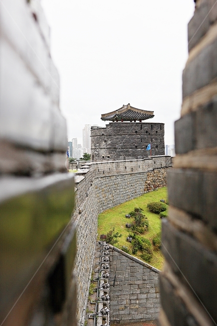 수원화성,성,성곽,길,둘레길,돌담,담,가을,자연,풍경,벽,방어벽,흙담,식물,전통,한국전통,한국문화,korean traditional,korean culture