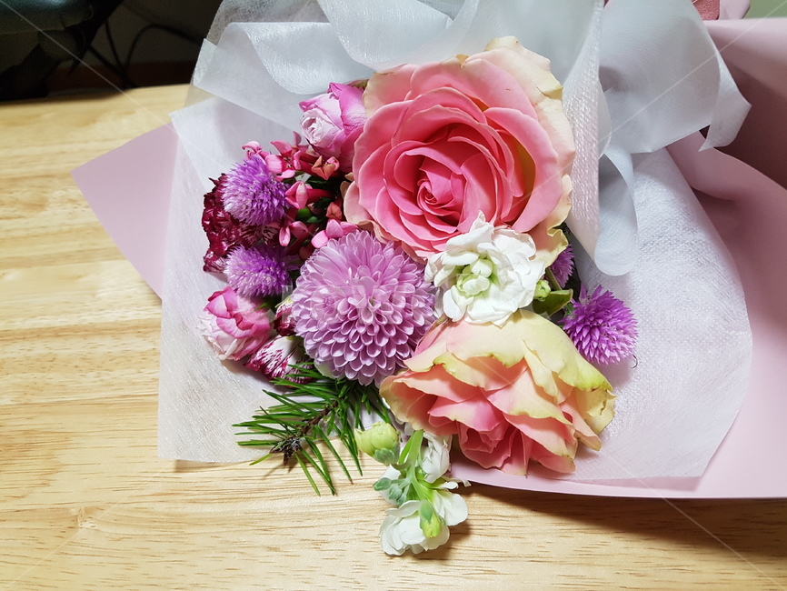 꽃,식물,flower,plant,flowerbouquet,꽃,flower