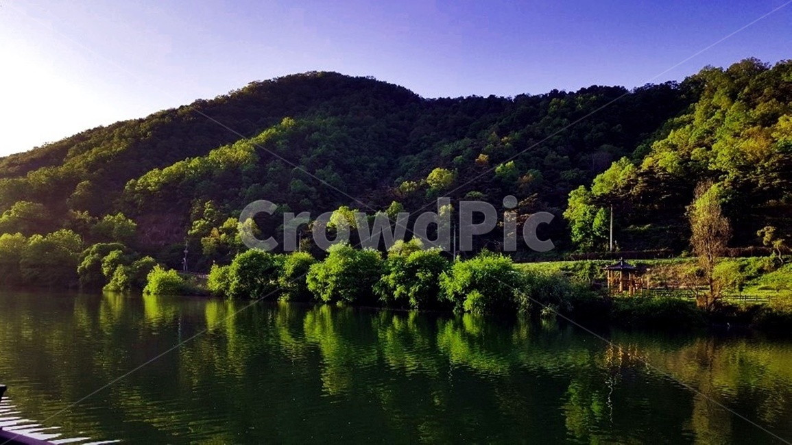 풍경,둘레길,자연,나무,저수지,물,자연,풍경,nature,landscape