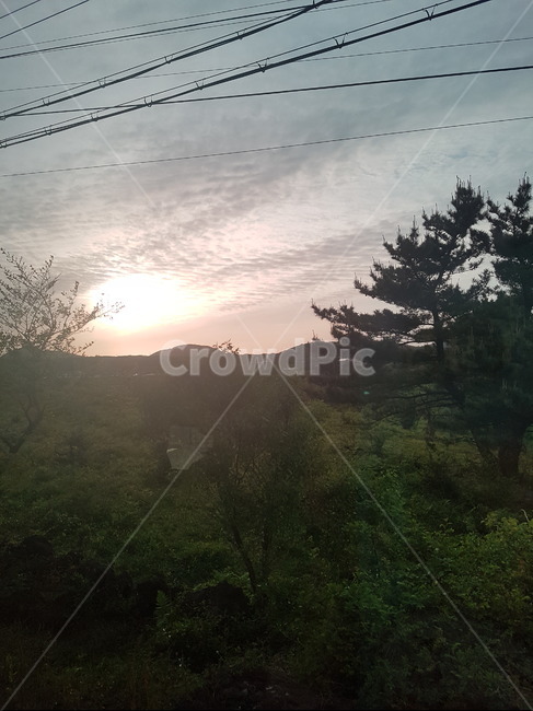 석양,나무,하늘,전선,sky,자연,풍경,nature,landscape,flare,플레어,light,빛