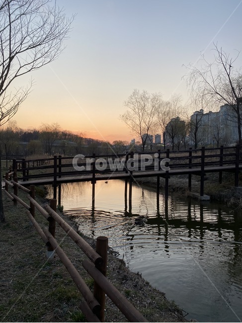 water,물,waterfront,워터프론트,dock,독,pier,교각,port,포트