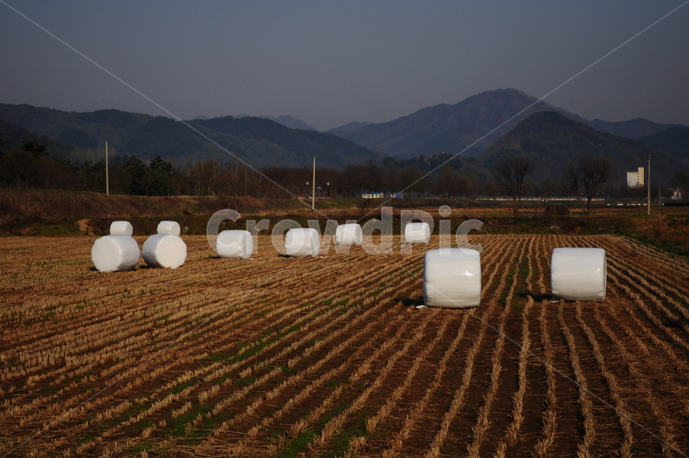 밭,시골,산,곤포사일리지,곤포,사일리지,전봇대,산업,industry,industrial,농업,농사,agriculture,farming,farming industry