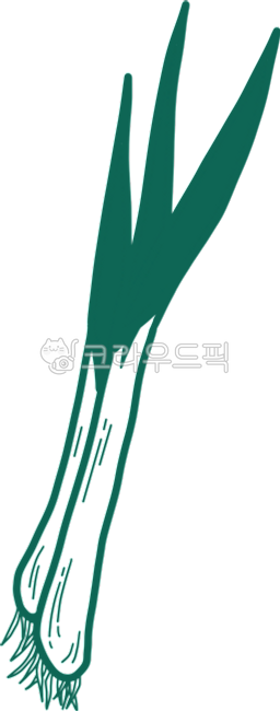 야채, 대파, 파, 초록색, 식물, 사진,이미지,일러스트,캘리그라피 - marubiho작가