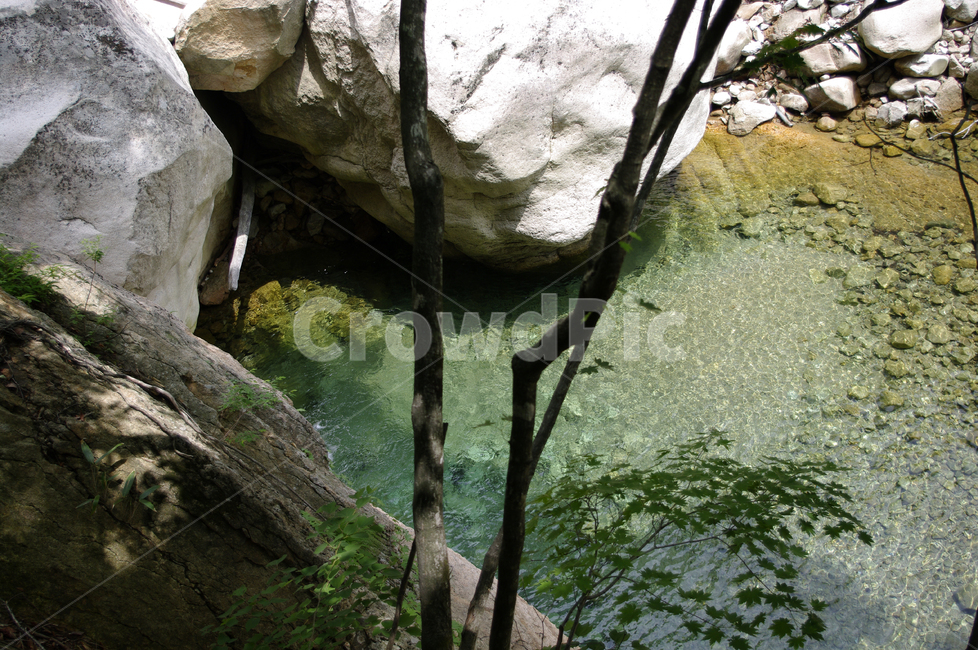계곡,바위,암석,풍경,나무,자연,풍경,nature,landscape,outdoors,옥외