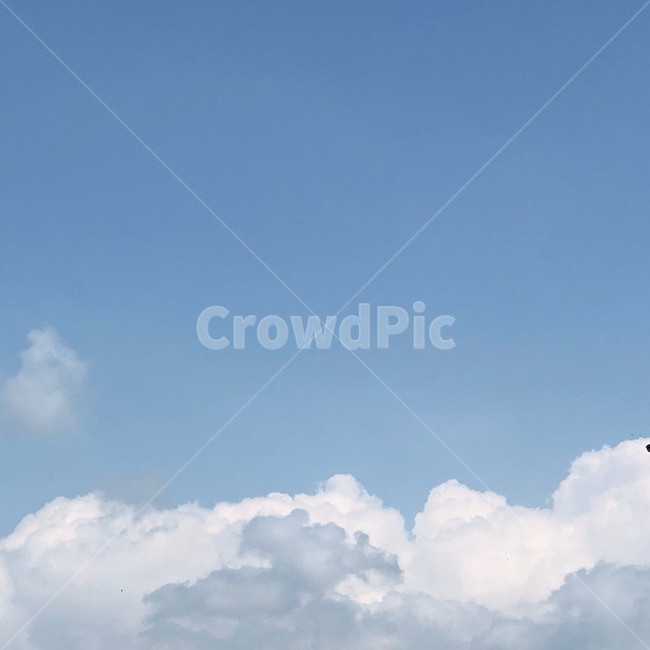 하늘,여름하늘,여름,파란하늘,sky,자연,풍경,nature,landscape,outdoors,옥외