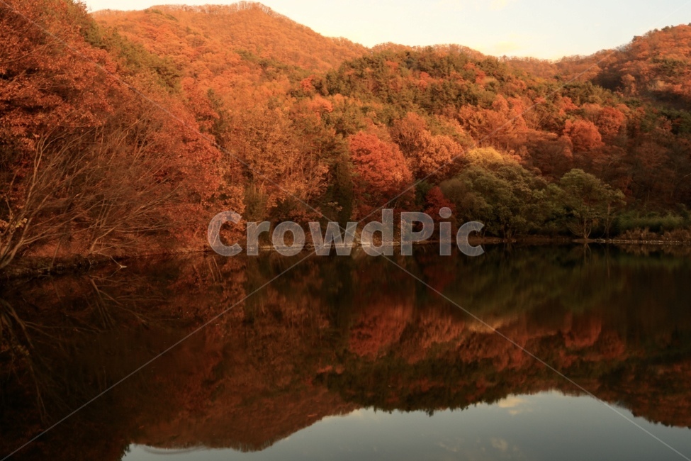 가을,단풍,저수지,낙엽,산,가을,계절,fall,autumn,season,자연,풍경,nature,landscape,outdoors,옥외,water,물