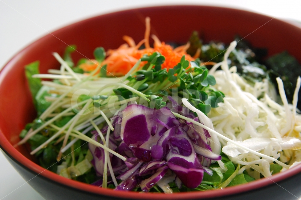 비빔밥,야채비빔밥,한식,음식,야채,채소,나물,건강,웰빙,그릇,오브젝트,음식,식재료,요리,food,cook,meal,dishes,food reserves,채소,야채,vegetables