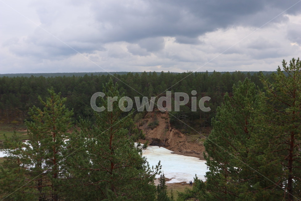 러시아,야쿠츠크,블루스,사하공화국,얼음호수,russia,yakutsk,자연,풍경,nature,landscape,해외,외국,세계,foreign,oversea,world,세계자연풍경,해외자연풍경,외국자연풍경,world nature landscape,tree,나무,plant,식물,abies,아비,fir,전나무,conifer,구과 식물