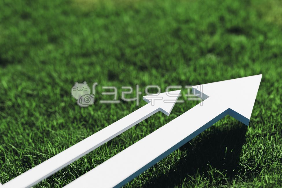 성장,성공,화살표,두개,비즈니스,상승,잔디,경쟁,파트너,협력,목표,새해,속도,방향,미래,친환경,자연,직선,발전,도약,팀워크,동반성장,시너지,배경,3d