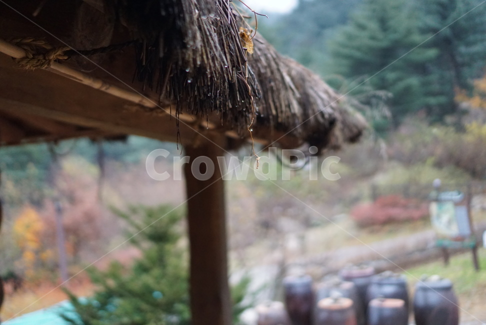 한옥,항아리,잣나무숲,너와집,강원도풍경,한국전통,한국문화,korean traditional,korean culture