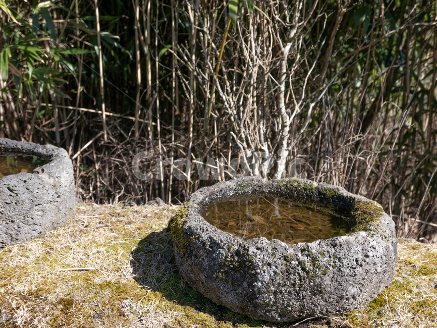 제주,제주도,돌문화공원,현무암,화산석,제주석,제주돌문화공원,이끼,흔적,돌절구,ground,바닥
