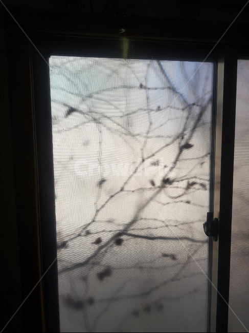 어두움,두려움,혼란,일상탈출,무늬