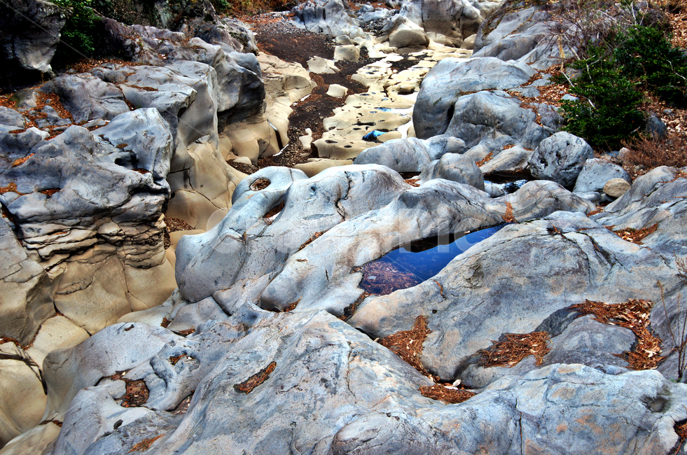 한천,오라올레,제주,기암괴석,트레일,바위,창곰소,판관소,자연,풍경,nature,landscape,water,물,outdoors,옥외