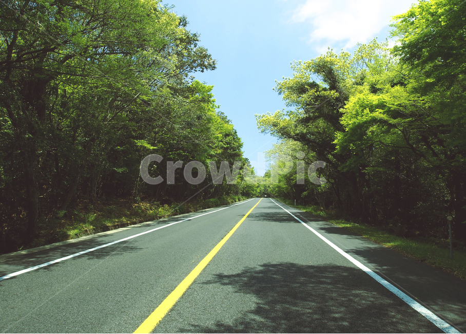 제주도,한라산,1100고지,풍경,jejudo,섬,island,landscape,nature,자연,길,road,하늘,sky,blue,교통,교통수단,traffic,transportation