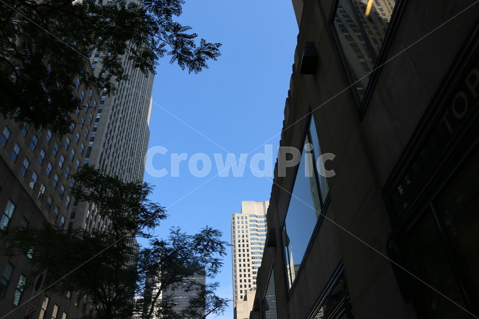 뉴욕,newyork,미국,건축,건물,뉴욕5번가,뉴욕거리,하늘,나무,도시,풍경,city,landscape,해외,외국,세계,foreign,oversea,world,세계도시풍경,해외도시풍경,외국도시풍경,world cityscape,home decor,가정 장식,building,office building,사무실 건물