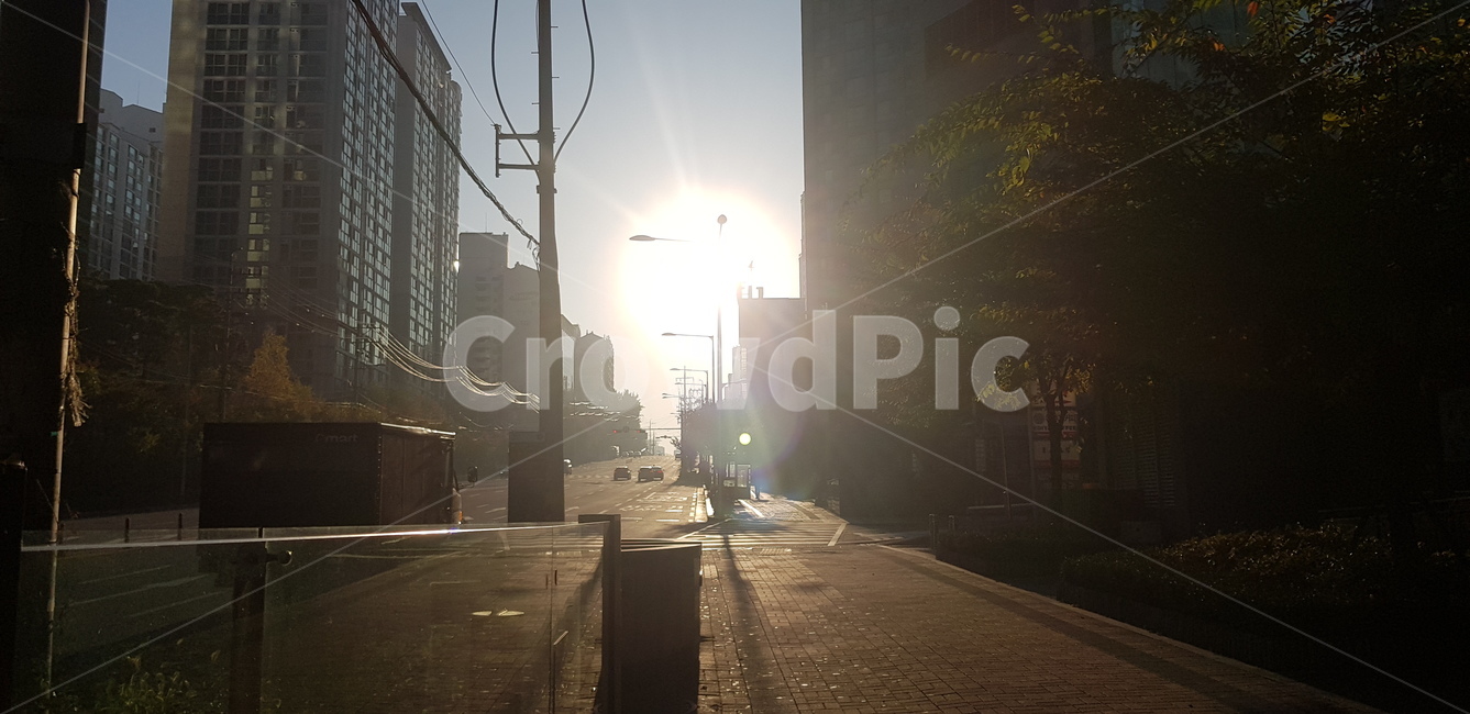 거리,도시,아침,해,햇빛,도시,풍경,city,landscape,한국도시풍경,한국도시경관,korea cityscape,flare,플레어,light,빛,sunlight