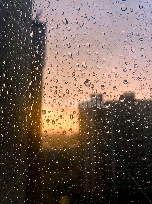 유리창,빗방울,물방울,해질녘,패턴,창문