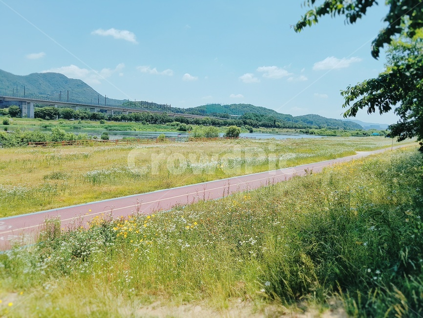 trail,spring,season,summer,landscape,nature,자연,field