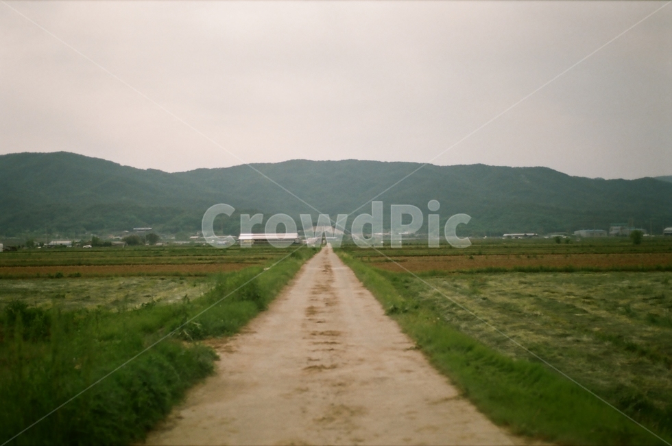 시골,시골길,밭,풍경,산,농사