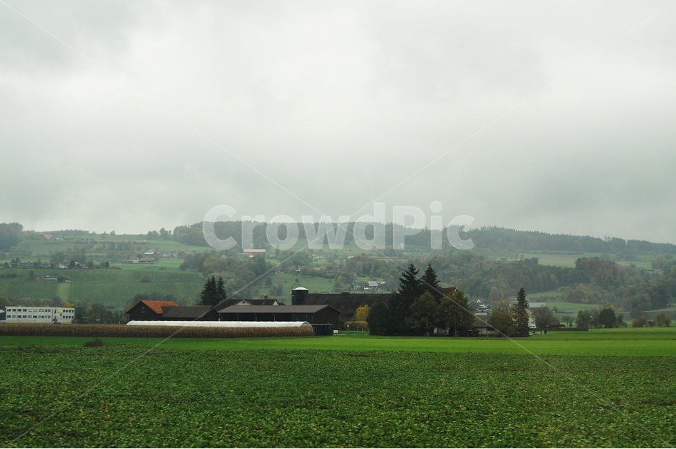 스위스,풍경,자연,swiss,여행,녹색,시골,마을,풍경,landscape,country,rural,town,해외,외국,세계,foreign,oversea,world