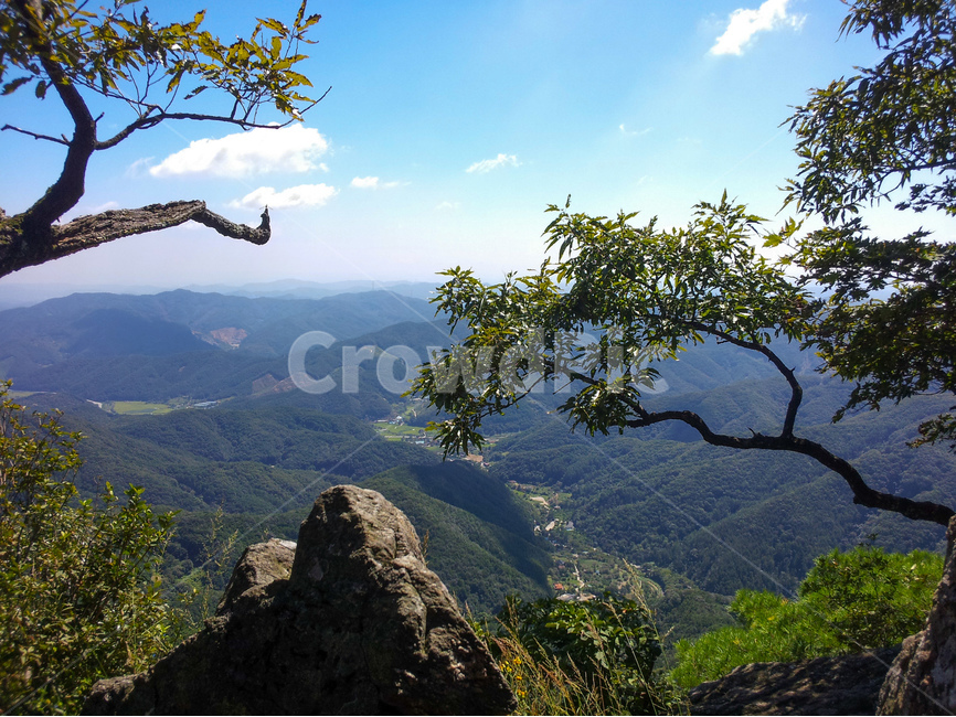 광덕산,산,소나무,풍경,골짜기,바위,자연,풍경,nature,landscape,한국자연풍경,한국자연경관,korea nature landscape,outdoors,옥외,plant,식물,tree,나무