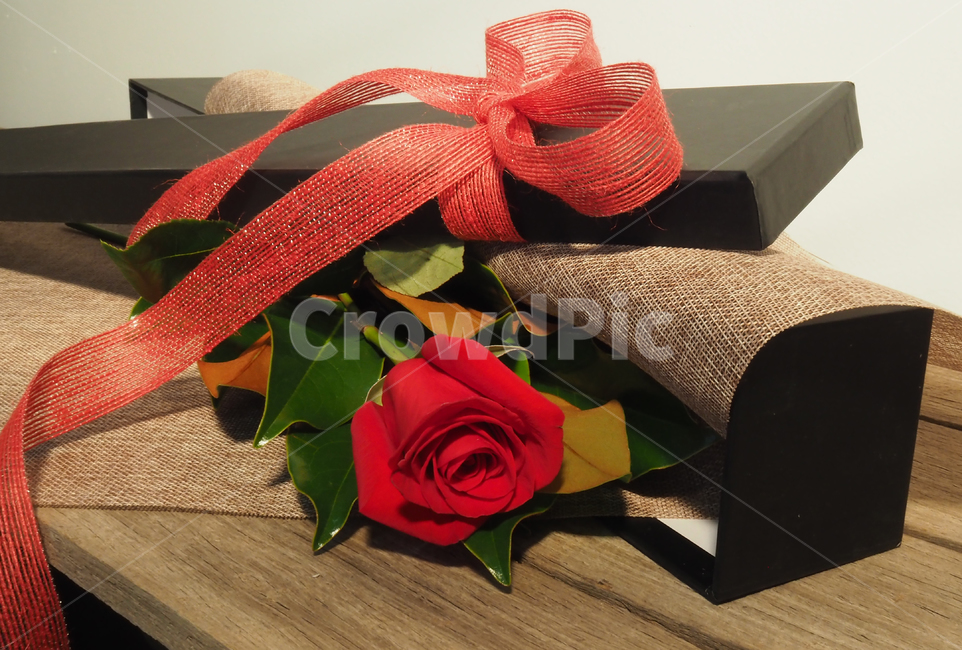 꽃,포장,사랑,선물,발렌타인,꽃,flower,기념일,축하,anniversary,congratulation,celebrate,celebration