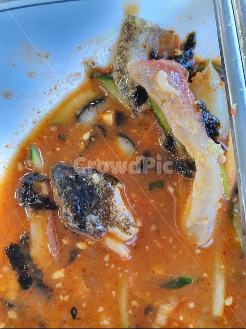 food,식재료,요리,seafood,물회,회요리,회,수산물,해산물