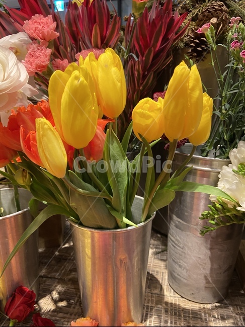 튤립,tulip,꽃집,소품,plant,식물,blossom,꽃,flower,flowerbouquet,꽃부케,flowerarrangement,꽃꽂이