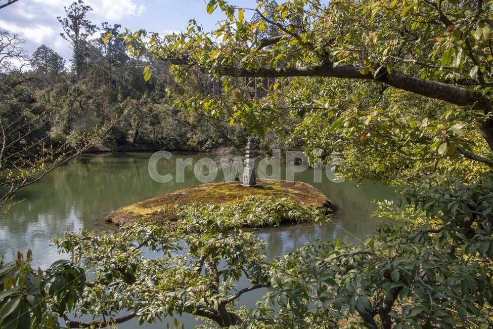 water,물,nature,자연,옥외,풍경,경치,금각사,plant,식물,tree,나무,outdoors
