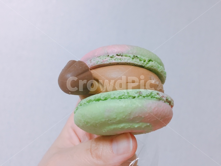 마카롱,초코송이,초콜릿,디저트,간식,파스텔