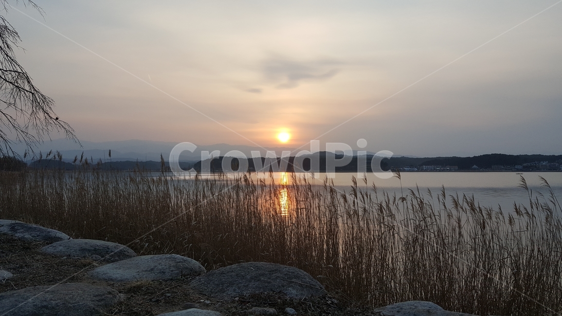 호수,해질녘,노을,경포호수,경포,자연,nature,갈대