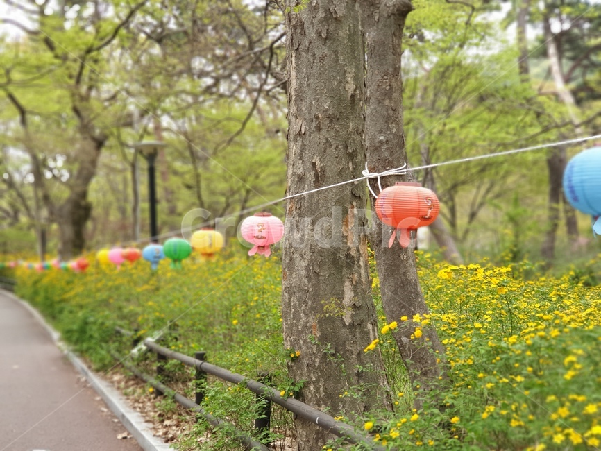 부처님오신날,등,오방색,5월,도미노