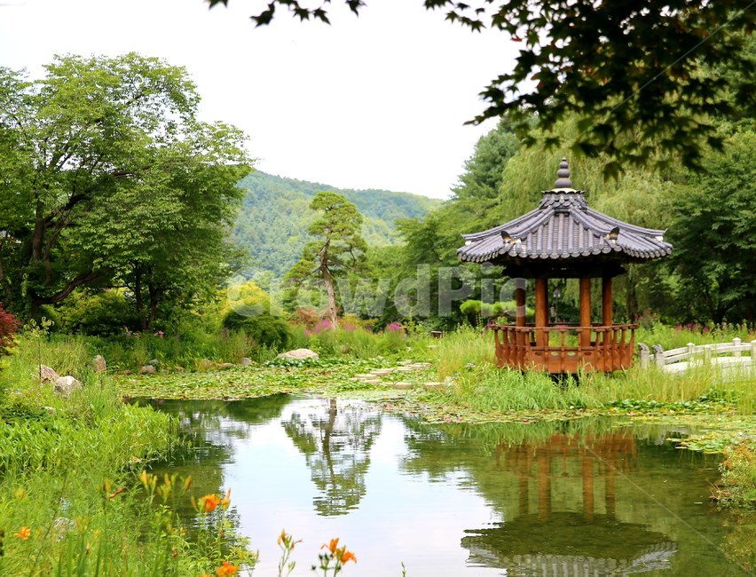 자연,수목원,정자,연못,수풀,자연,풍경,nature,landscape,한국자연풍경,한국자연경관,korea nature landscape,outdoors,옥외