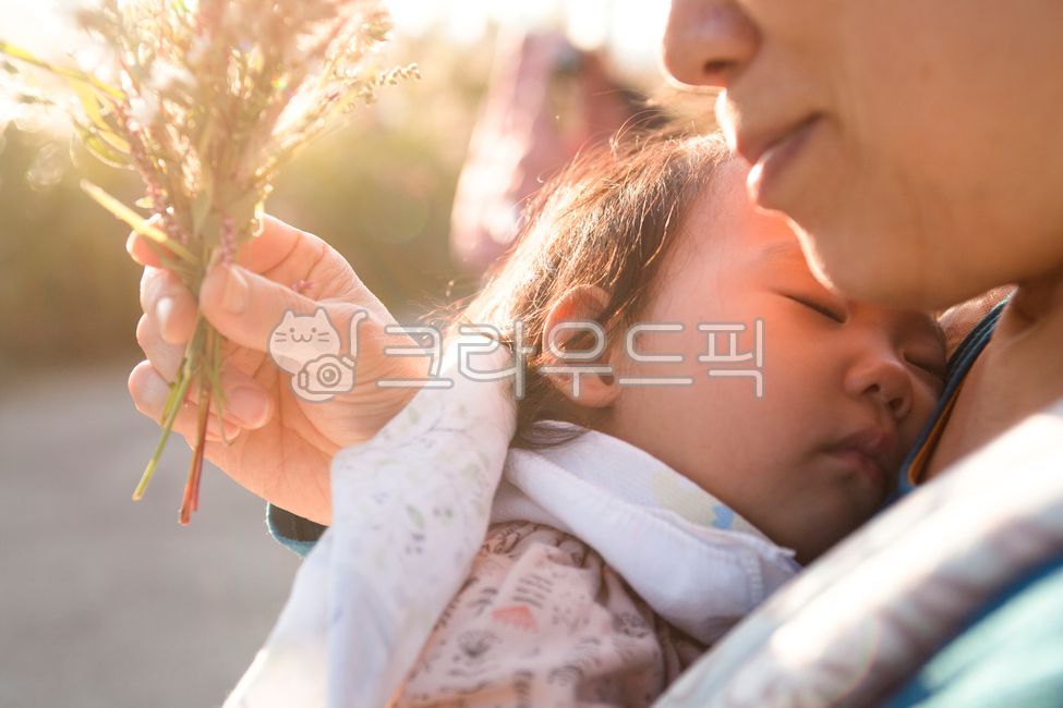 가을,들꽃,꽃다발,선물,할머니,손자,손녀,조부모,햇살,꽃,야생화,손가락,어린시절