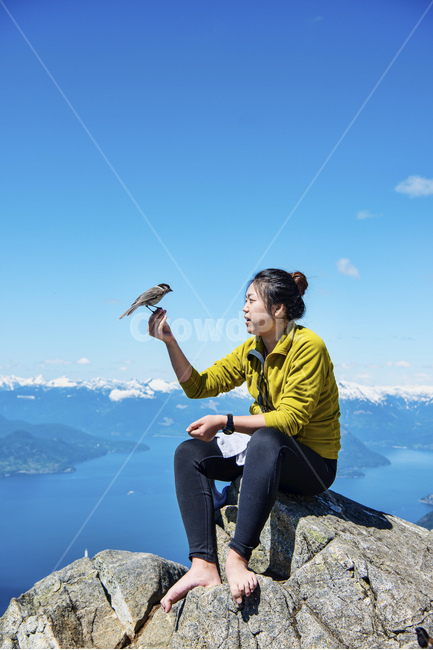 새,등산,자연인,하이킹,산정상,사람,인물,인간,human,person,여성,여자,woman,female,lady