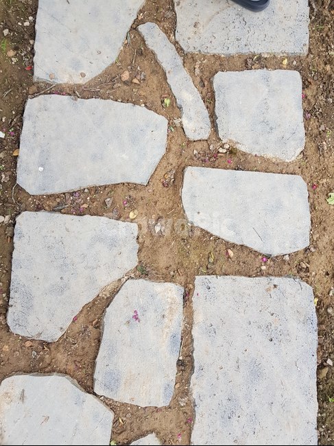 돌,보도,판석,감성사진,walkway,포장,통로,path