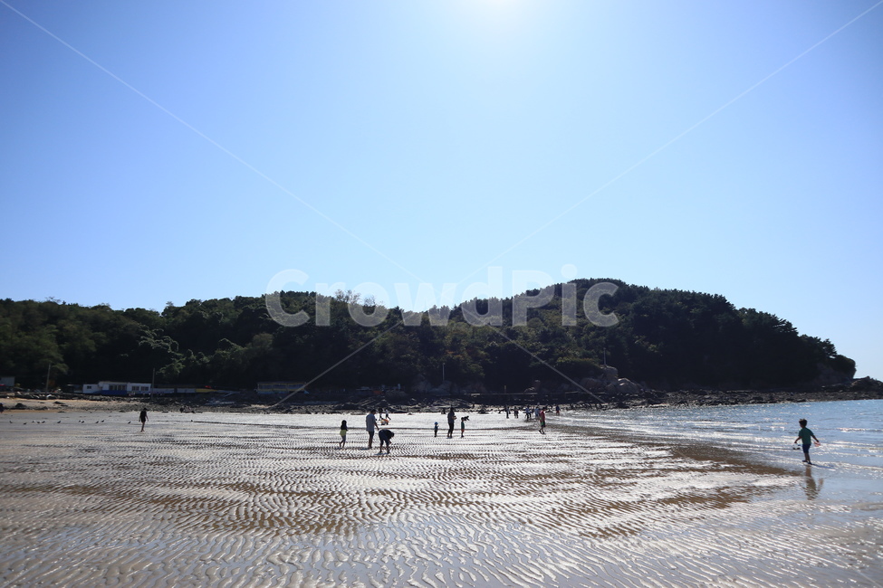 바다,바닷가,해변,모래,풍경,밀물,sea,해변,바다,beach,sea,사람들,대중,군중,other people,crowd