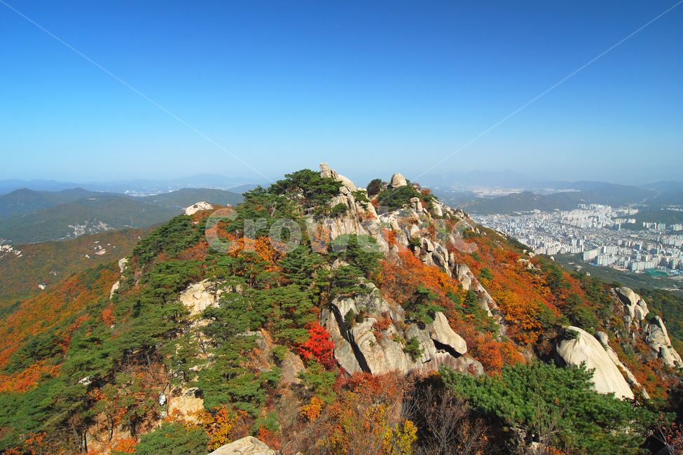 도봉산,산,단풍,가을,계절,바위,바위산,풍경,자연,나무,소나무,숲,산림,봉,봉우리,산봉우리,등산,절경,국립공원,하늘,서울,한국,가을,계절,fall,autumn,season,자연,풍경,nature,landscape,한국자연풍경,한국자연경관,korea nature landscape,도시,city,한국도시풍경,한국도시경관,korea cityscape,outdoors,옥외
