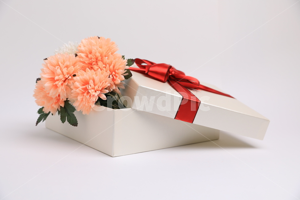 상자,선물상자,꽃,조화,기념일,생일,기프트,아름다운,리본,꽃,flower,기념일,축하,anniversary,congratulation,celebrate,celebration,사물,물건,오브젝트,thing,object,matter,누끼,remove background