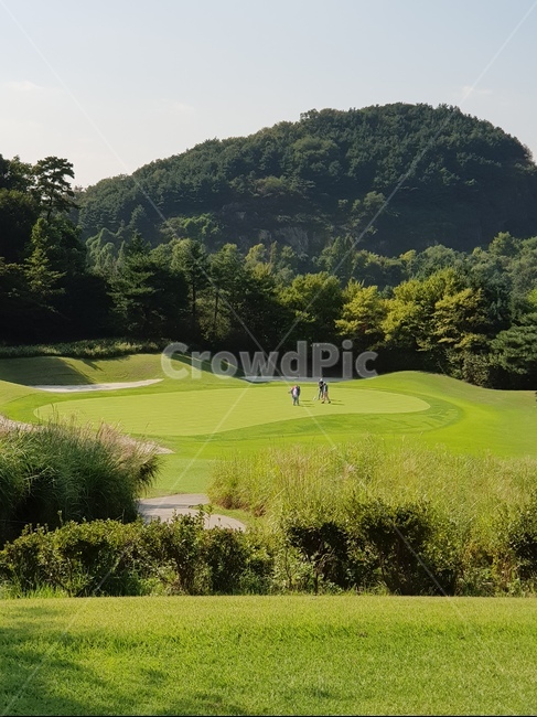 field,outdoors,옥외,골프,들