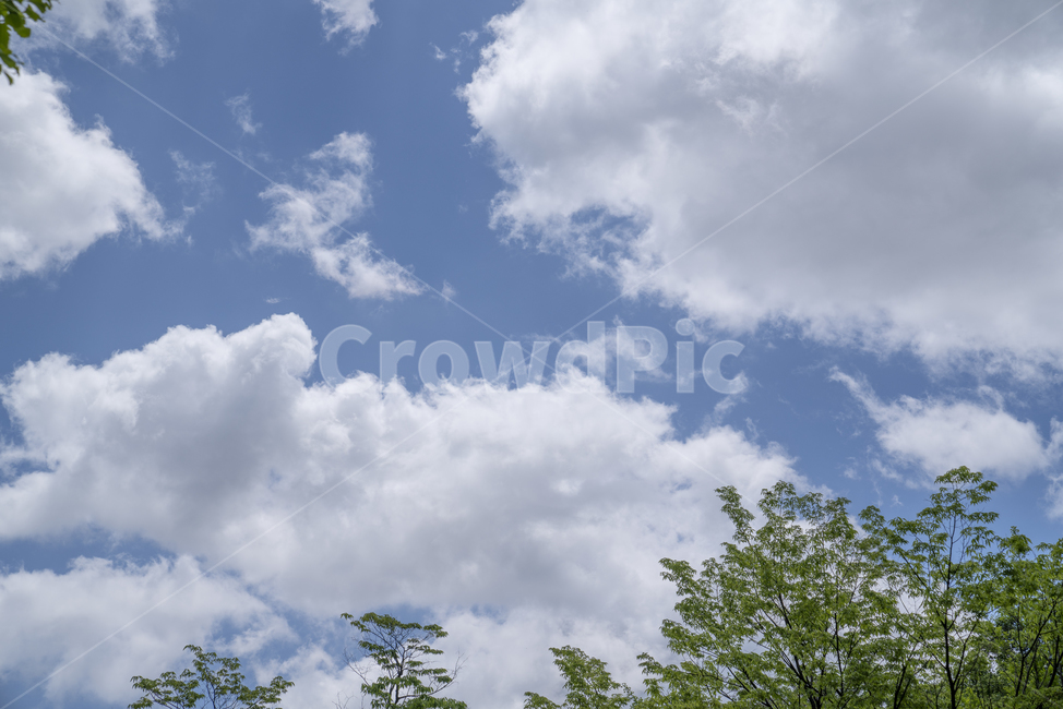 nature,자연,outdoors,옥외,푸른하늘,sky,하늘,azuresky,적운,적란운,뭉게구름,파란하늘