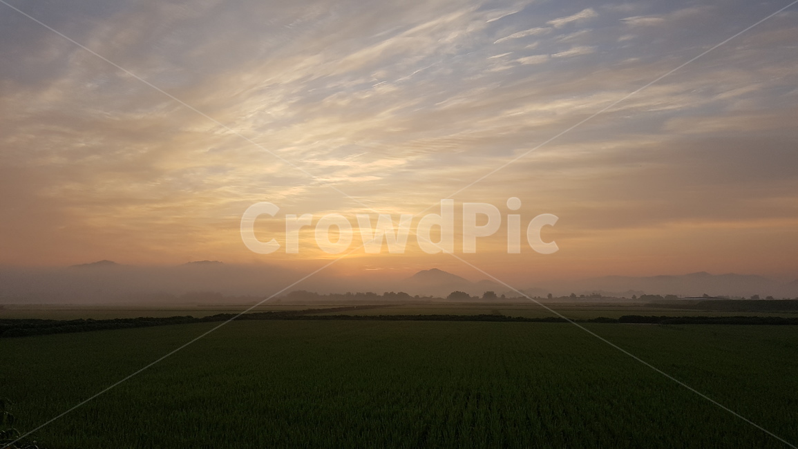 field,들,자연,아침안개,fog,nature,들판,morningglow,자연,풍경,nature,landscape