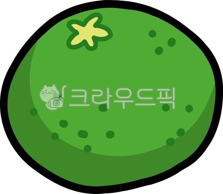 청귤,파란귤,녹색귤,귤,만감류,제주,제주청귤,제주도특산물,제주도농산물,제주농산물,청담그기,음료재료,음식재료,청귤차,청귤음료,청귤에이드,손그림,과일,열매,과실