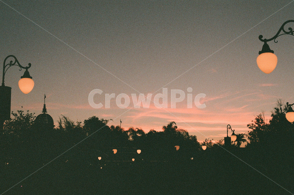 노을,필카,밤,저녁,필름,가로등,야경,밤,풍경,nightscape,night,landscape